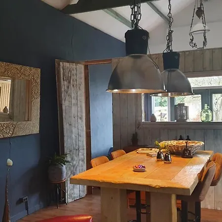 Holiday home De Rijnban Opheusden
