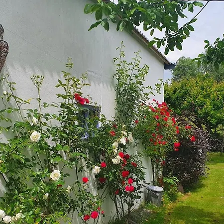 De Rijnban Holiday home *