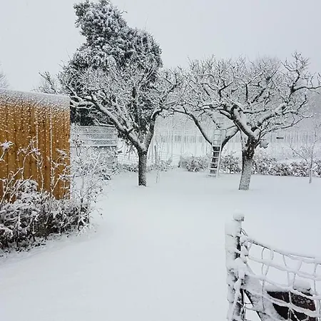 Holiday home De Rijnban *