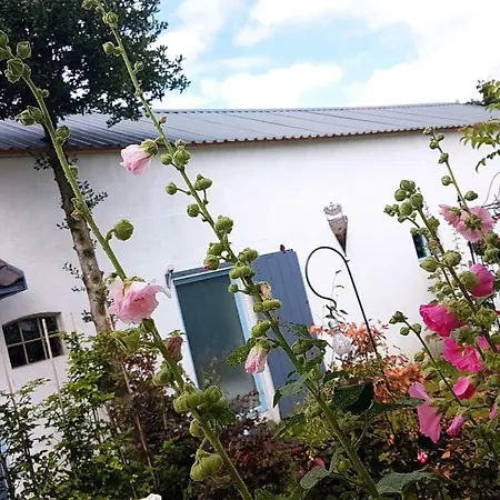 De Rijnban Holiday home