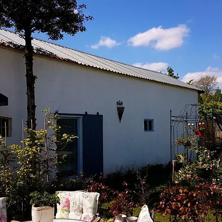 De Rijnban Holiday home